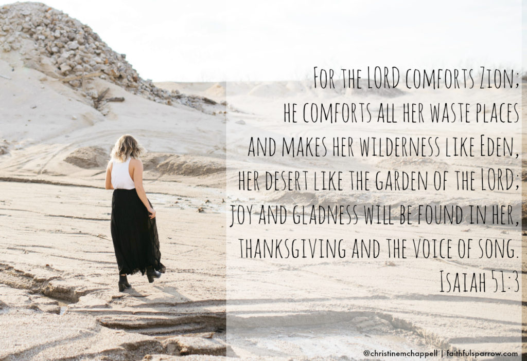 Finding Hope in the Barren Waste Place | Christine M. Chappell | Clean Home, Messy Heart